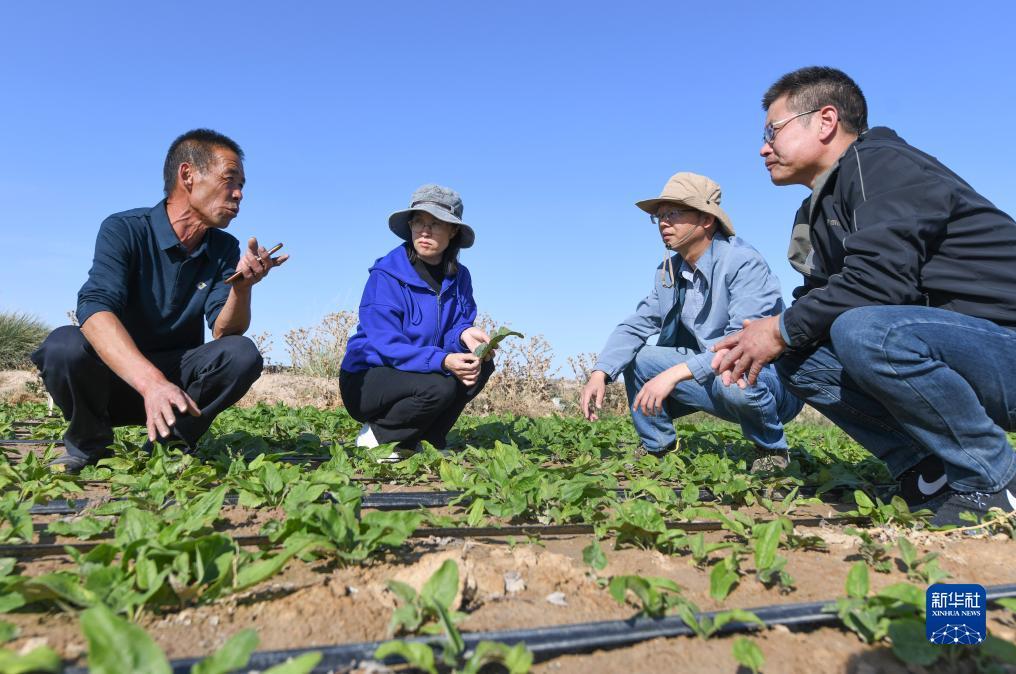 捕鱼上下分支付宝